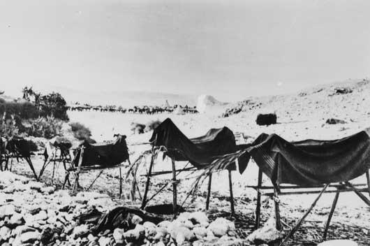 A line of dummy horses constructed in the Jordan Valley to deceive German and Turkish fliers during occupation between February and September 1918. Courtesy AWM